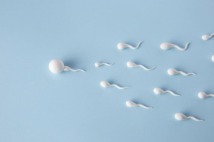 Bild som illustrerar metoder för att öka spermieantalet och förbättra fertilitet